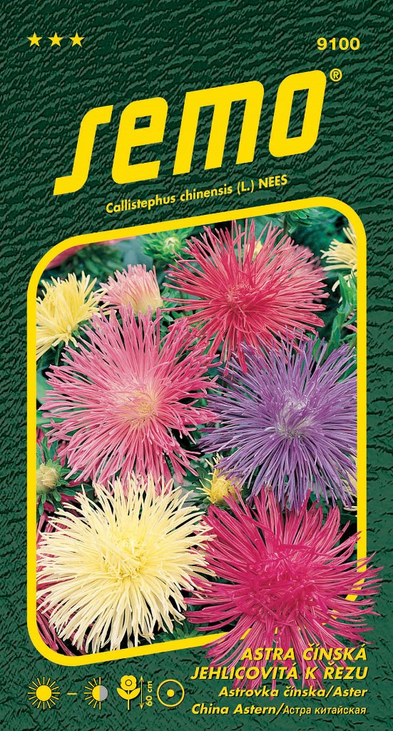 Osivo letniček - Astra čínská jehlicovitá Electric směs