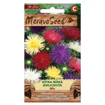 Osivo letniček - Astra čínská jehlicovitá nízká směs (MS)