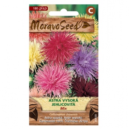 Osivo letniček - Astra čínská jehlicovitá vysoká směs (MS)