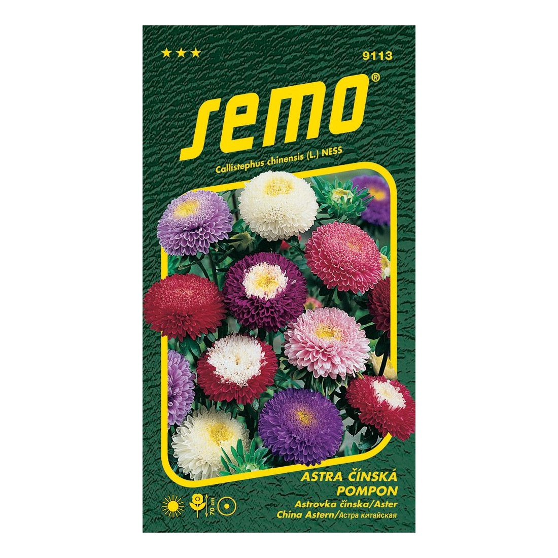 Osivo letniček - Astra čínská Pompon směs