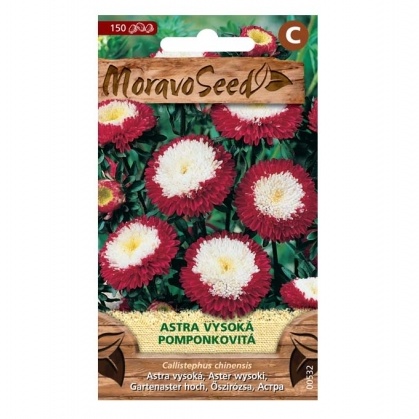Osivo letniček - Astra čínská POMPON vysoká červená (MS)
