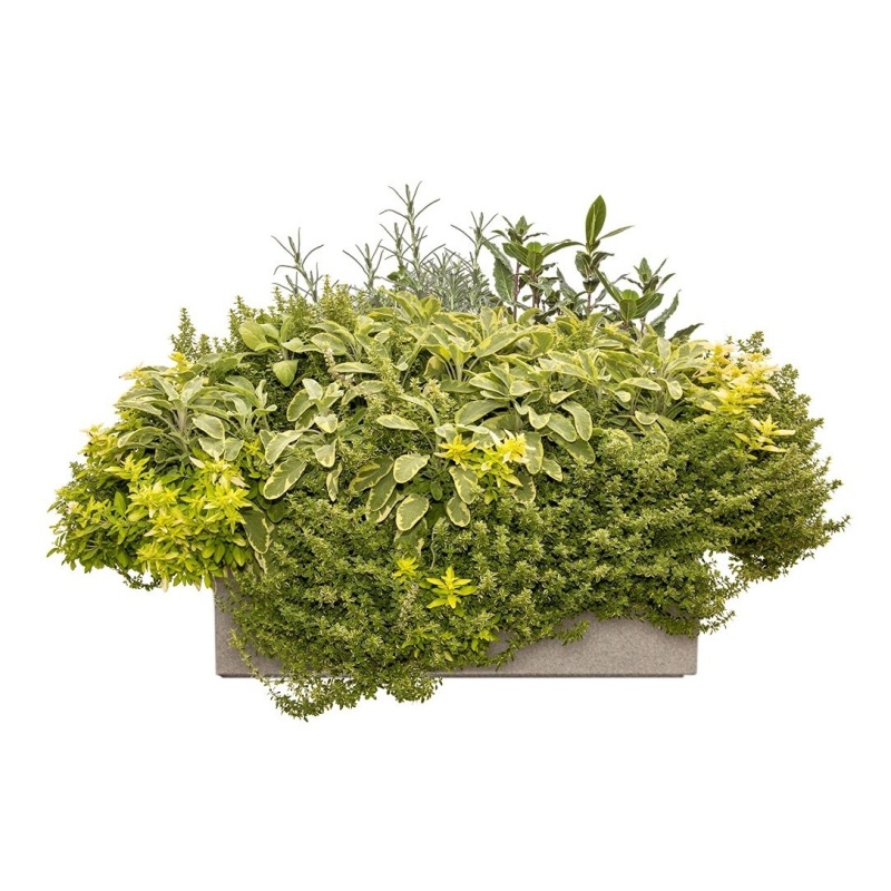 Jedlá zahrada - Barbecue Lechuza Stone