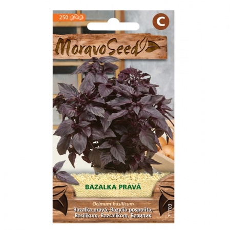 Osivo bylinek - Bazalka červená (MS)