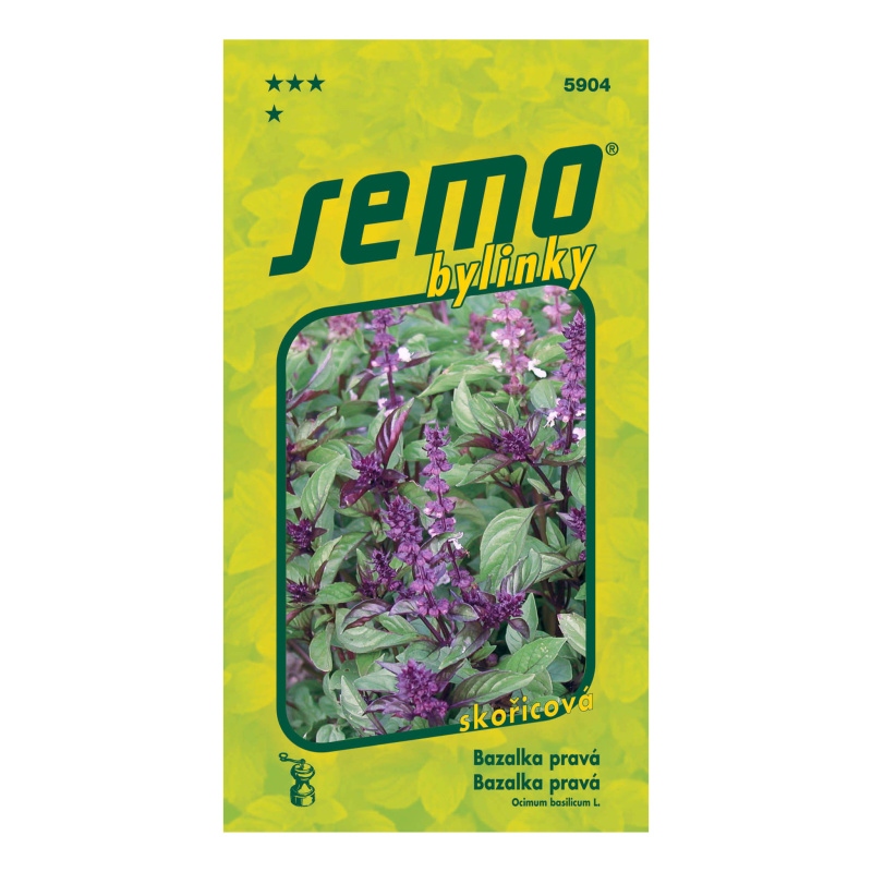 Bazalka pravá Cinamonette-0