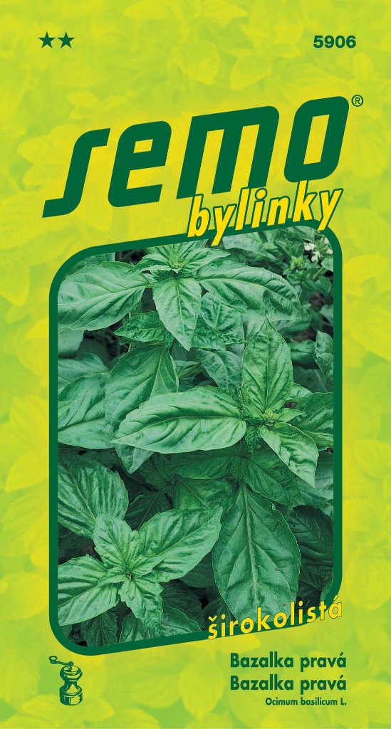 Osivo bylinek - Bazalka pravá Dark Green