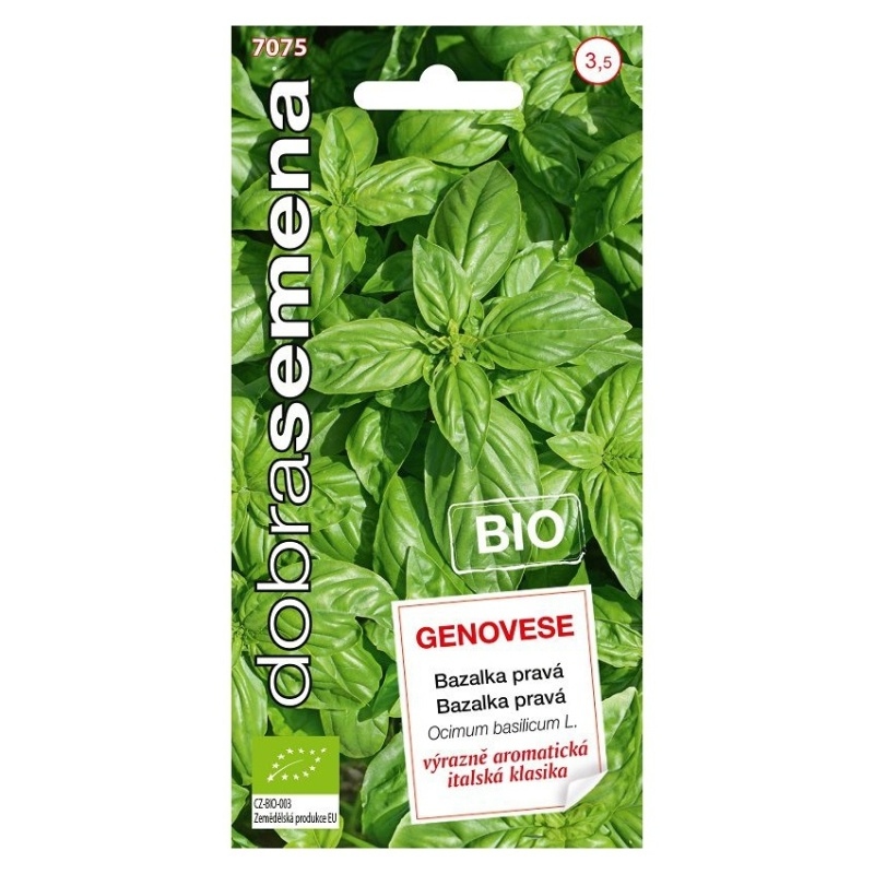 Osivo bylinek - Bazalka pravá Genovese BIO (DS)