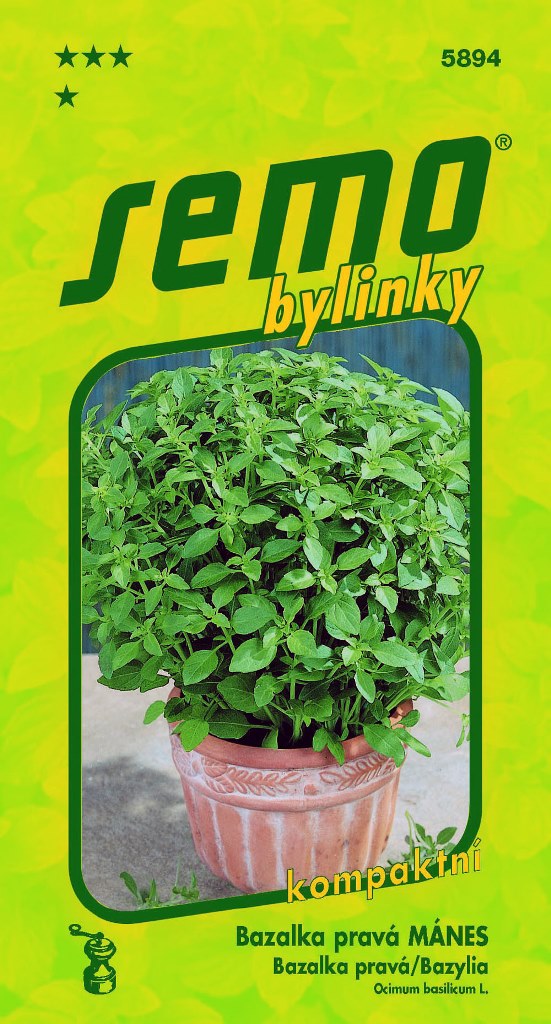 Osivo bylinek - Bazalka pravá Mánes 0,8g