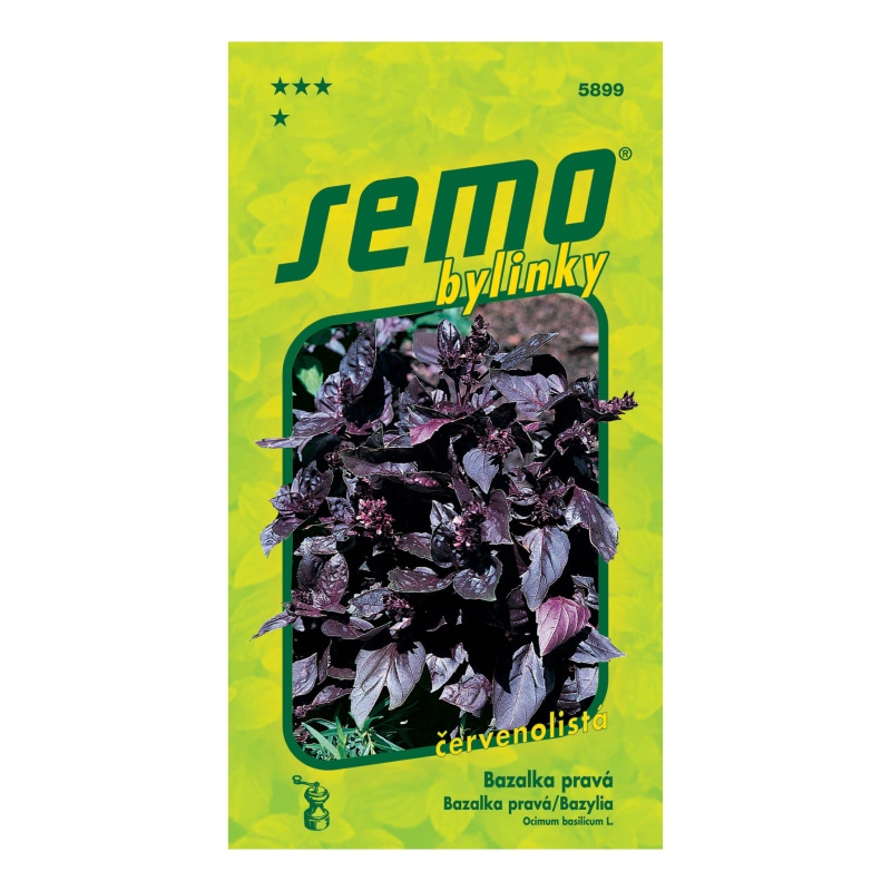 Bazalka pravá Red Rubin-0