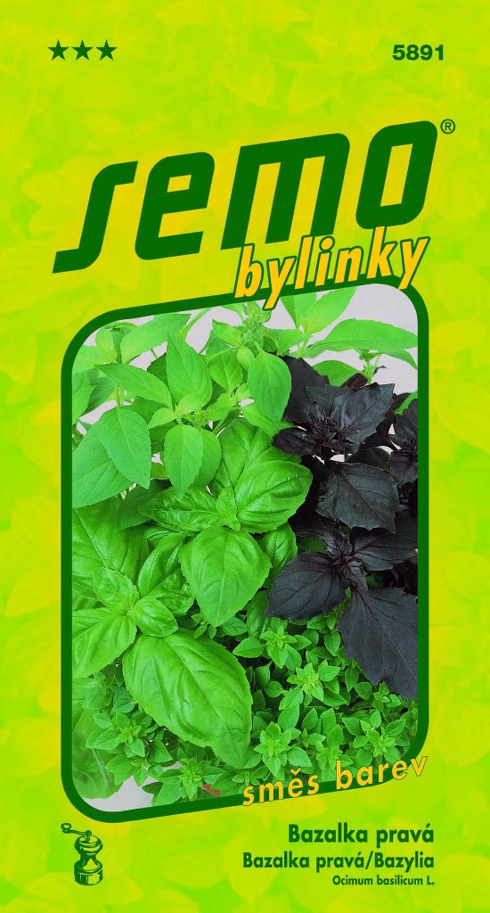 Osivo bylinek - Bazalka pravá směs