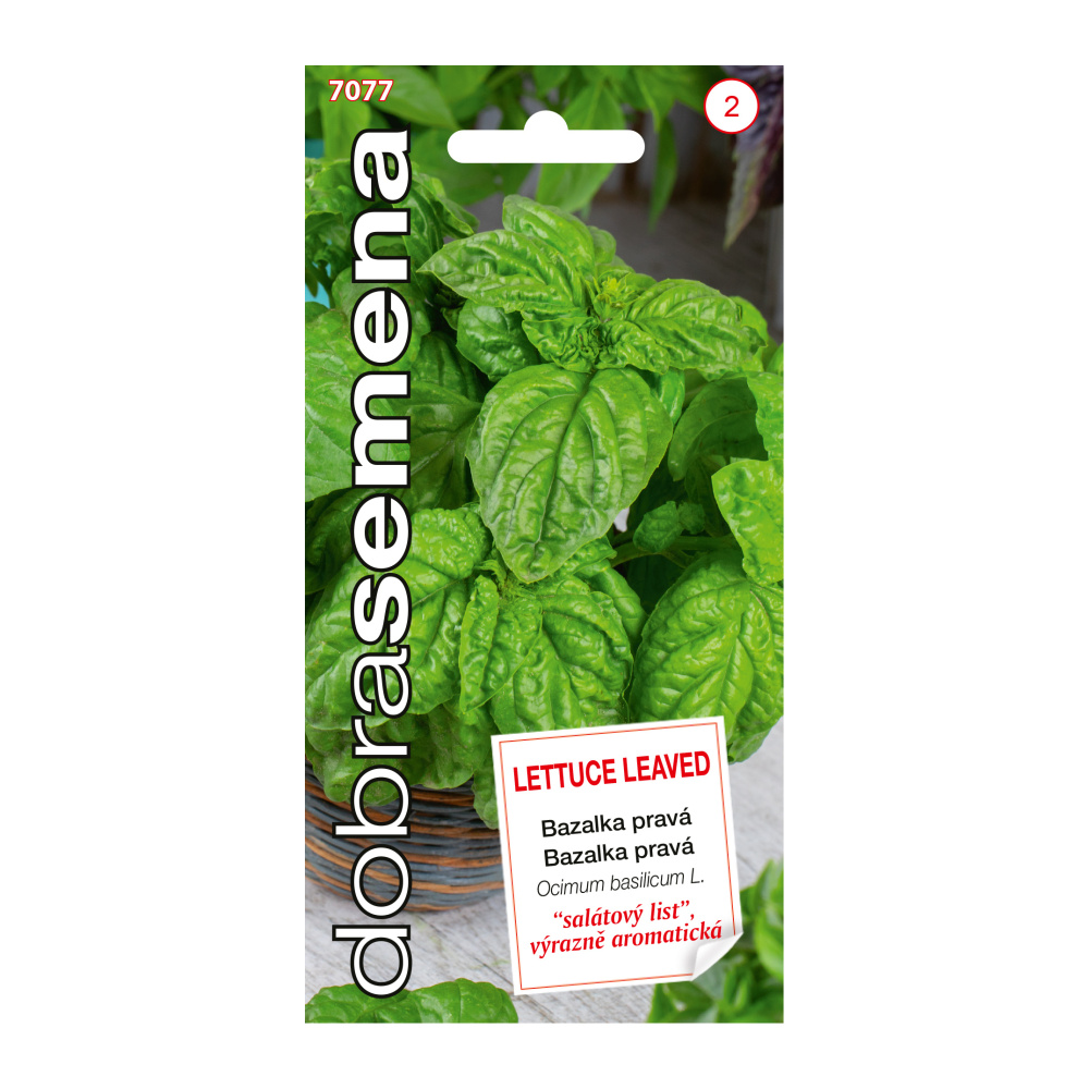 Osivo bylinek - Bazalka salátová širokolistá Lettuce Leaved (DS)