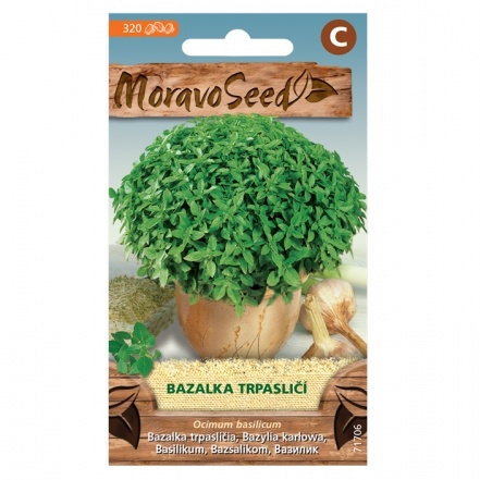 Osivo bylinek - Bazalka trpasličí (MS)