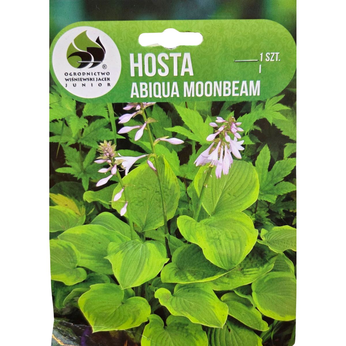 Bohyšky - Bohyška Abiqua Moonbeam 1ks