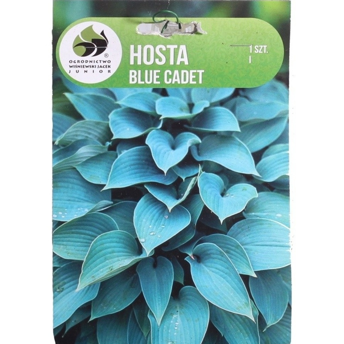 Bohyšky - Bohyška Blue Cadet 1ks