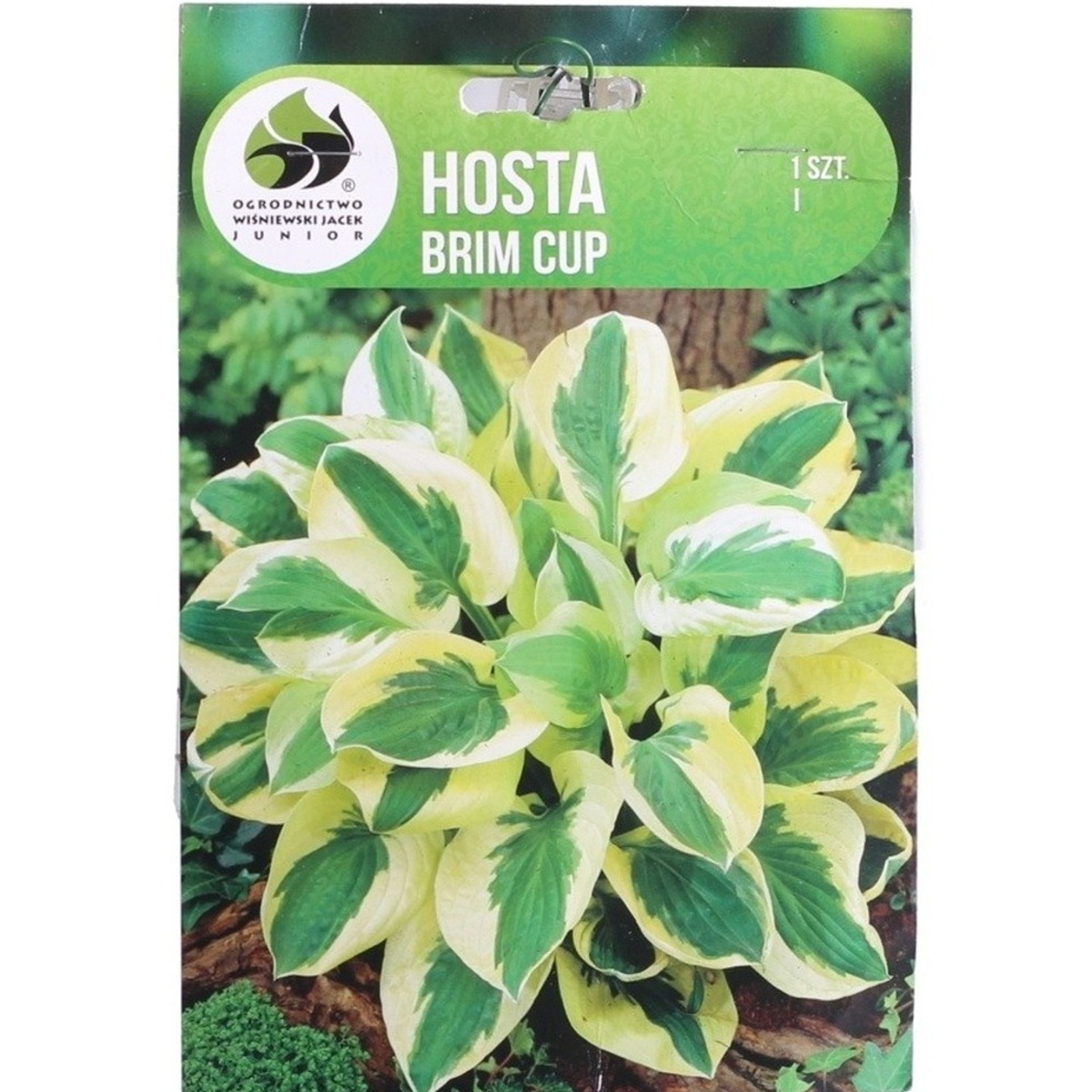 Bohyšky - Bohyška Brim Cup 1ks