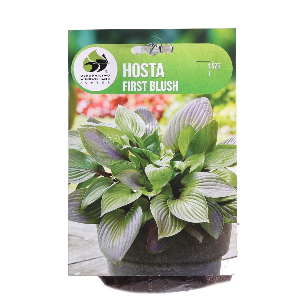 Bohyšky - Bohyška First Blush 1ks