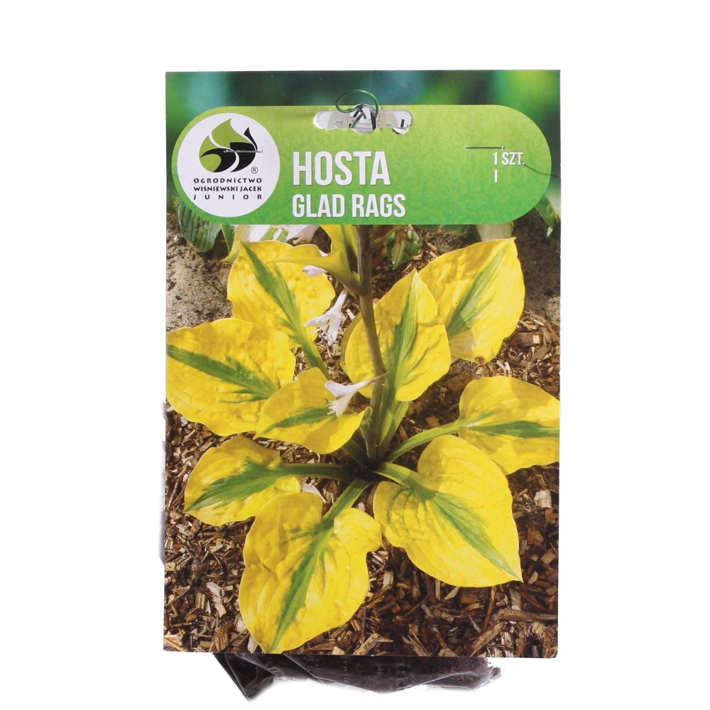 Bohyšky - Bohyška Glad Rags 1ks