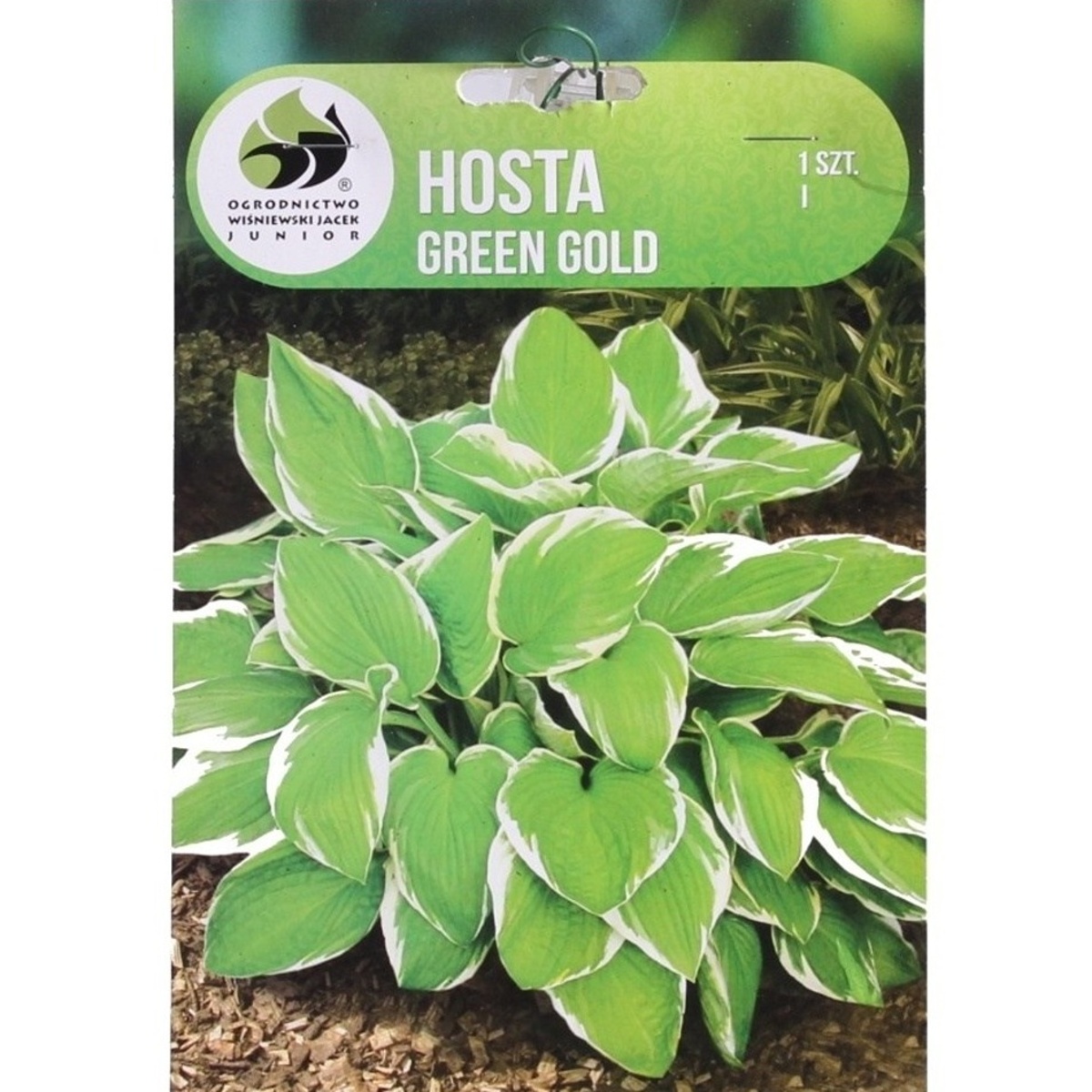 Bohyšky - Bohyška Green Gold 1ks