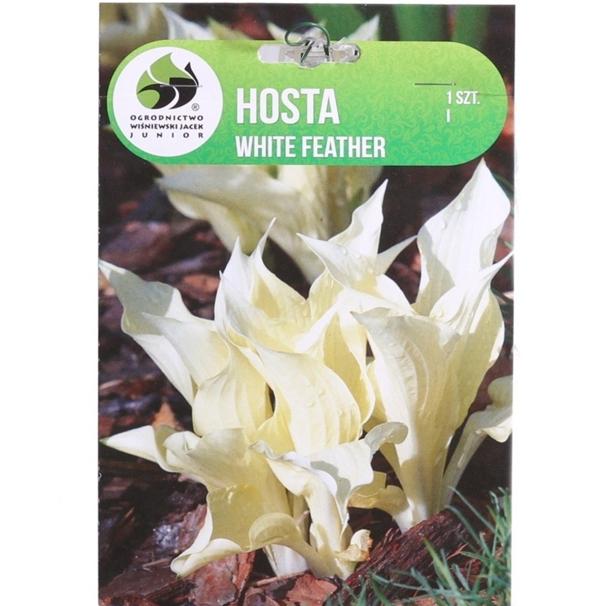 Bohyšky - Bohyška White Feather 1ks