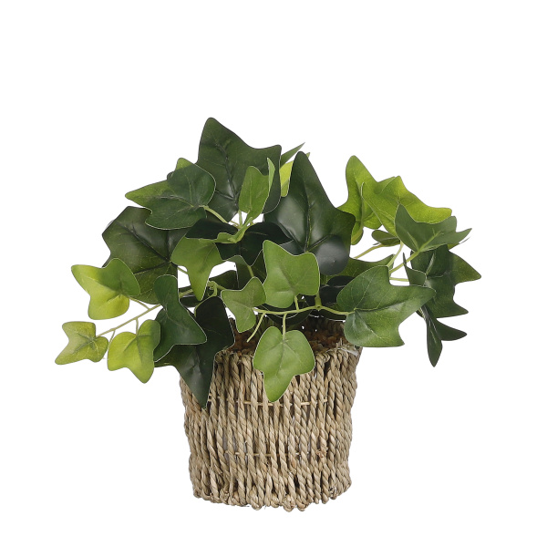 Umělé květiny v obalu - Břečťan hrnkový umělý v koši zelená 33cm