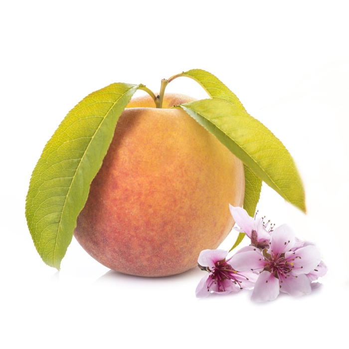 Broskvoně - Broskvoň 'Catharina' květináč 7,5 litru, čtvrtkmen, SAMOSPRAŠNÁ