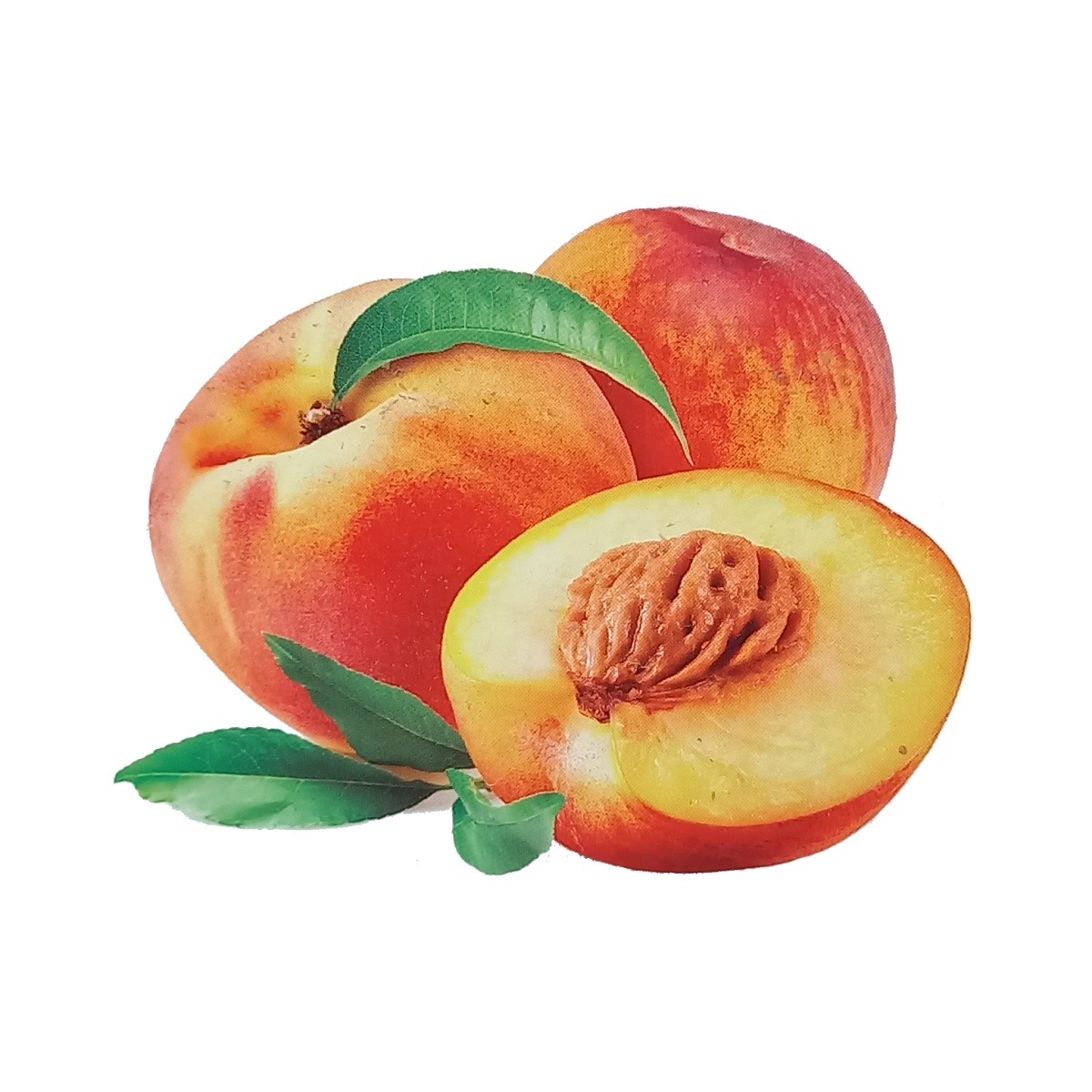 Balkonové ovocné stromky - Broskvoň Mini zakrslá květináč 7,5 litru