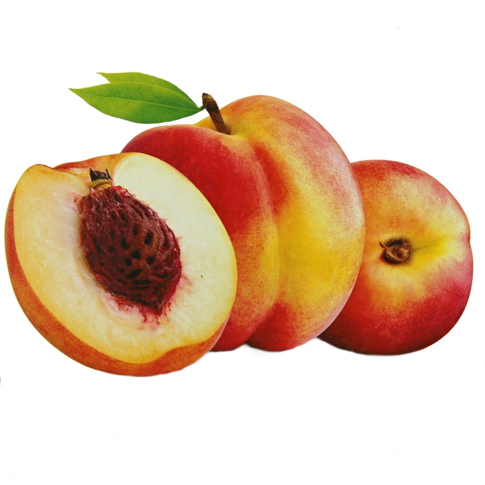 Rostliny - Broskvoň patio 'Suncrest' květináč 5 litrů, balkonová, zákrsek, SAMOSPRAŠNÁ