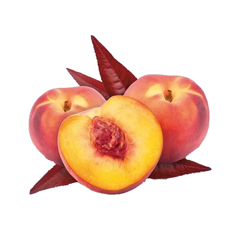 Broskvoň Rubira květináč 5 litrů, balkonová, zákrsek, SAMOSPRAŠNÁ-0