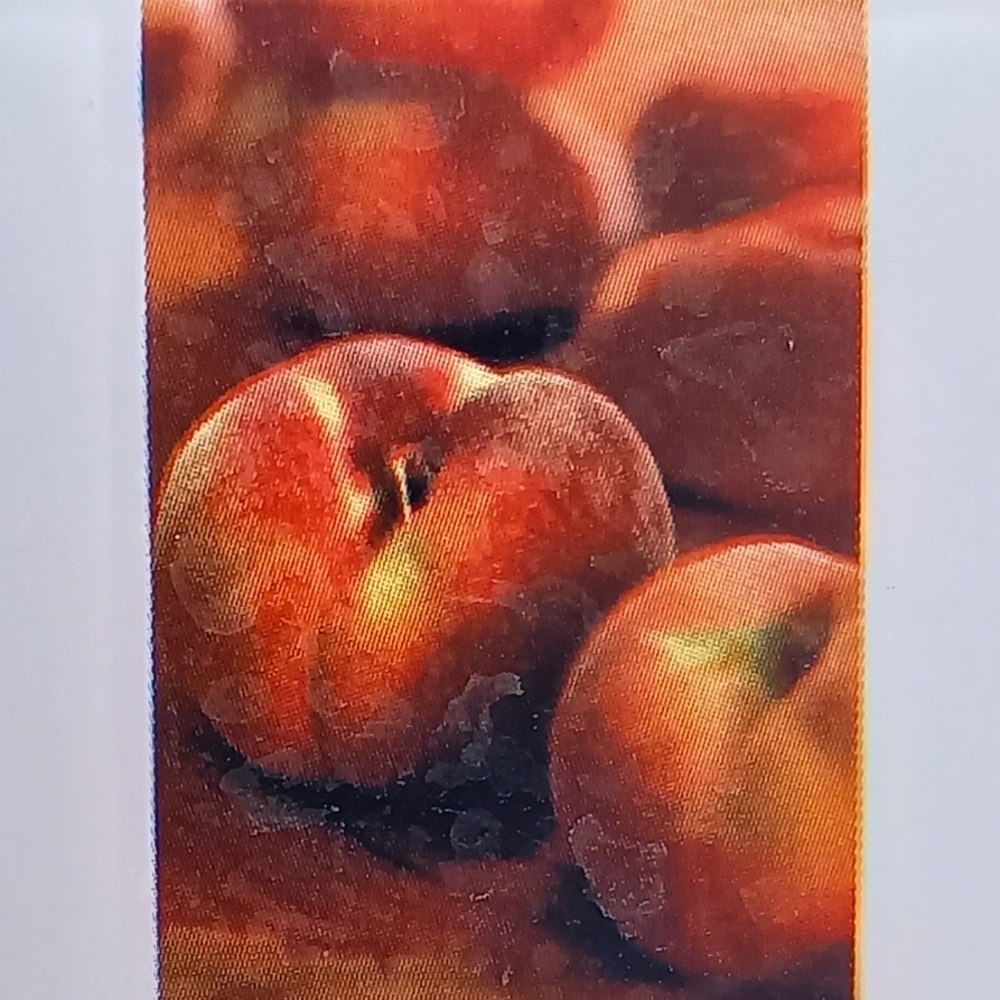 Broskvoně - Broskvoň Sandwich Weiss květináč 7,5 litru, samosprašná