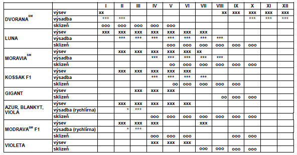 Brukev bílá Gigant pozdní polní-0