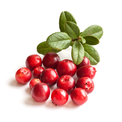 Borůvky a brusinky - Brusinka 'Miss Cherry' květináč 2 litry, keř