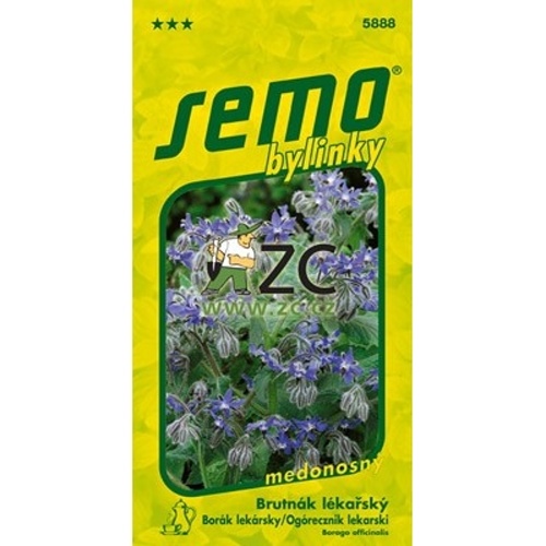 Osivo bylinek - Brutnák lékařský