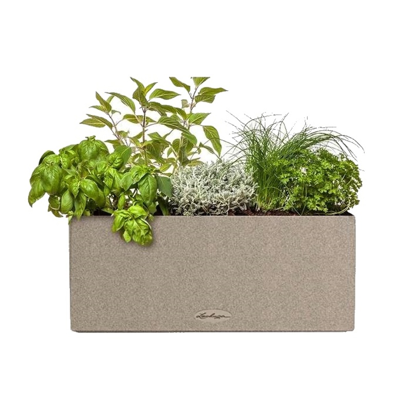 Jedlá zahrada - Bylinky do salátu Lechuza Stone