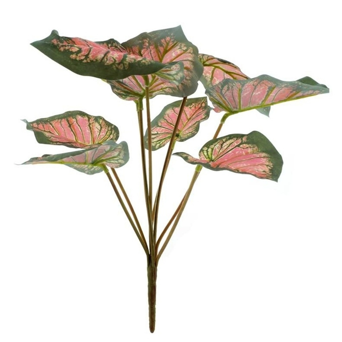Celoroční umělé květiny - Caladium v trsu umělé 39cm