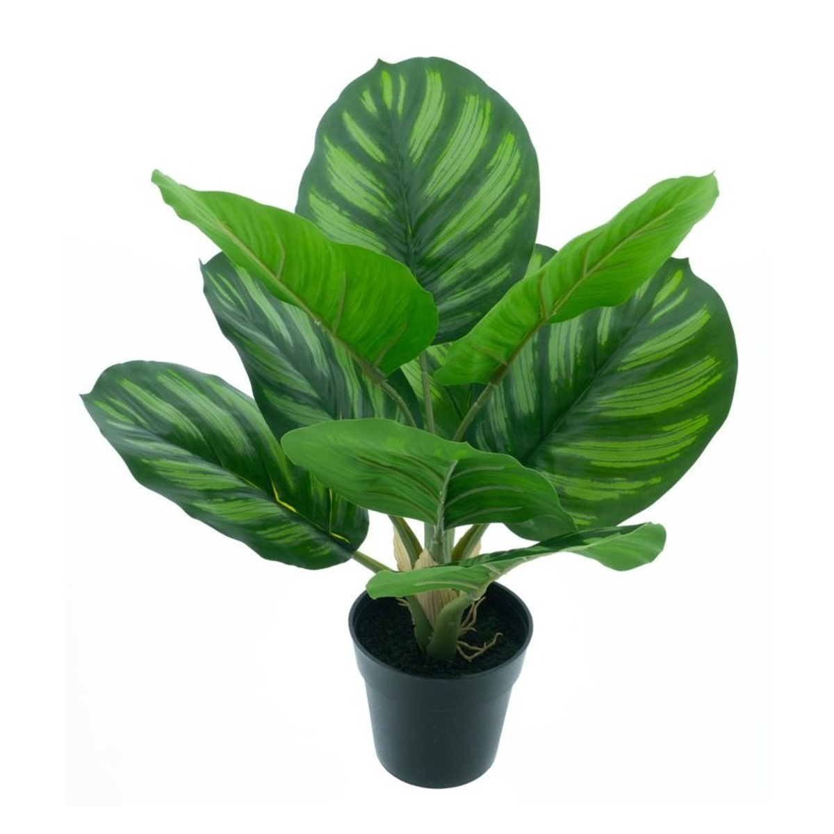 Umělé květiny v obalu - Calathea hrnková umělá 40cm