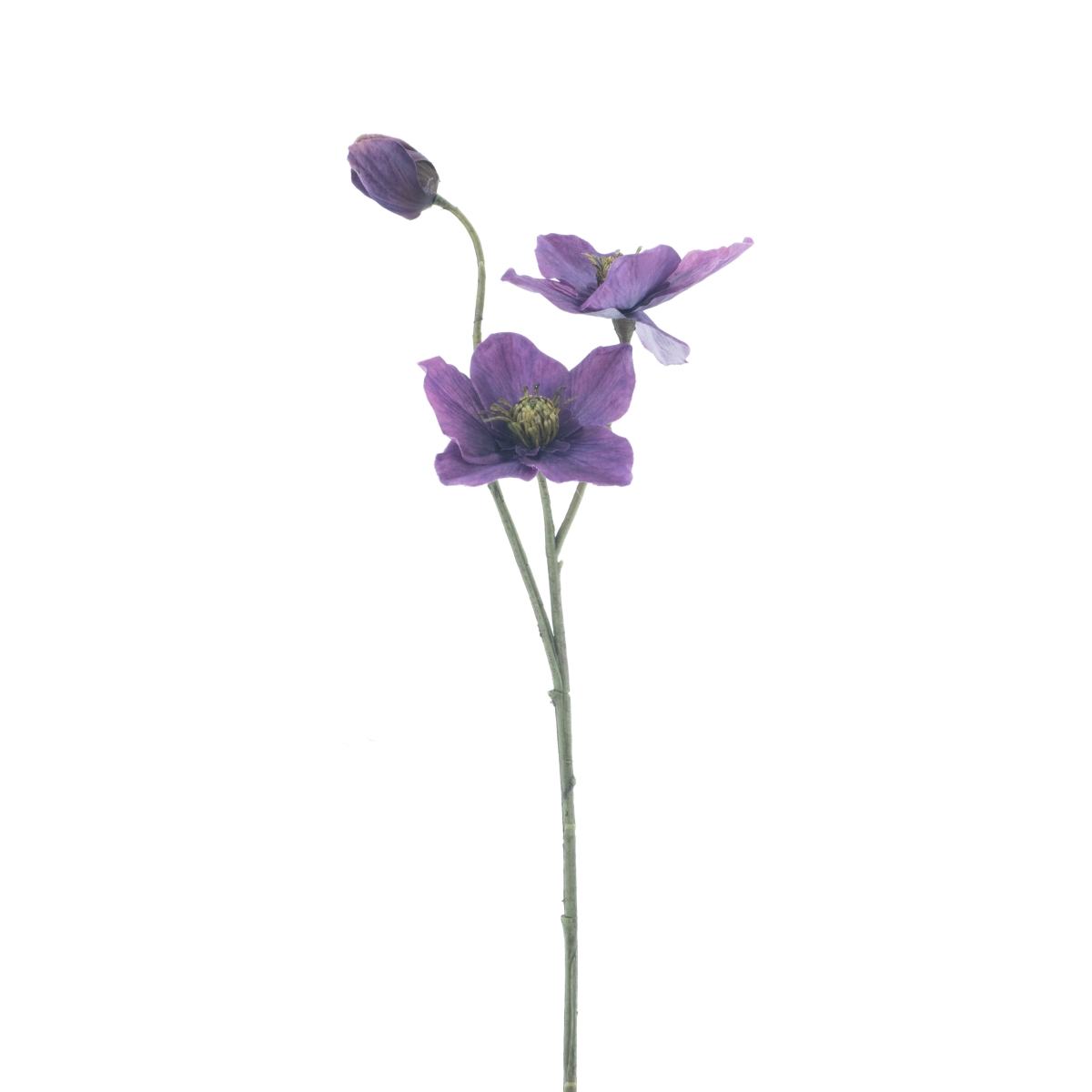 Jarní umělé květiny - Čemeřice CASEROS řezaná umělá se 2 květy a poupětem purpurová 56cm