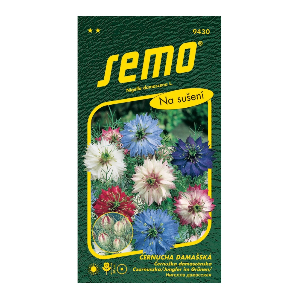 Osivo letniček - Černucha damašská Persian Jewels