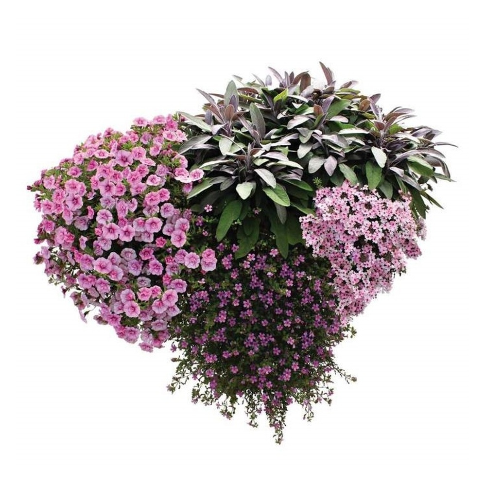 Květinové truhlíky - Červánek antracit 50cm