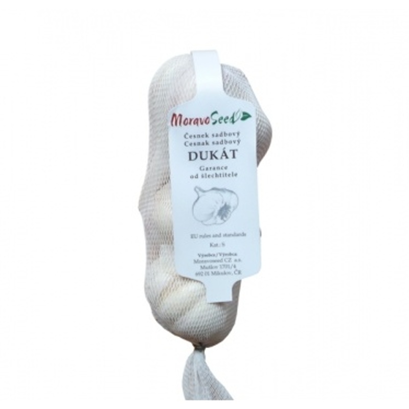 Česnek sadbový Dukát 3ks-0