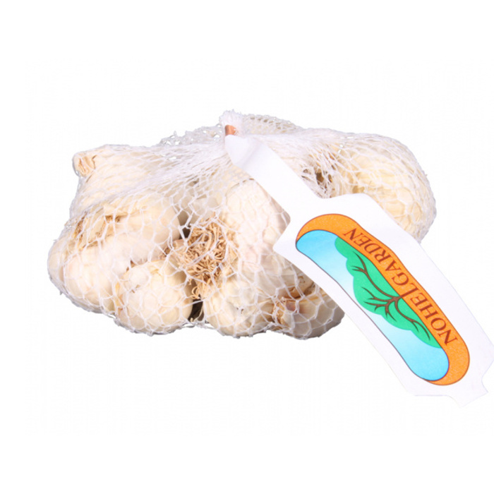 Sadba česneku a cibule - Česnek sadbový FLAVOR 250g 3-4ks