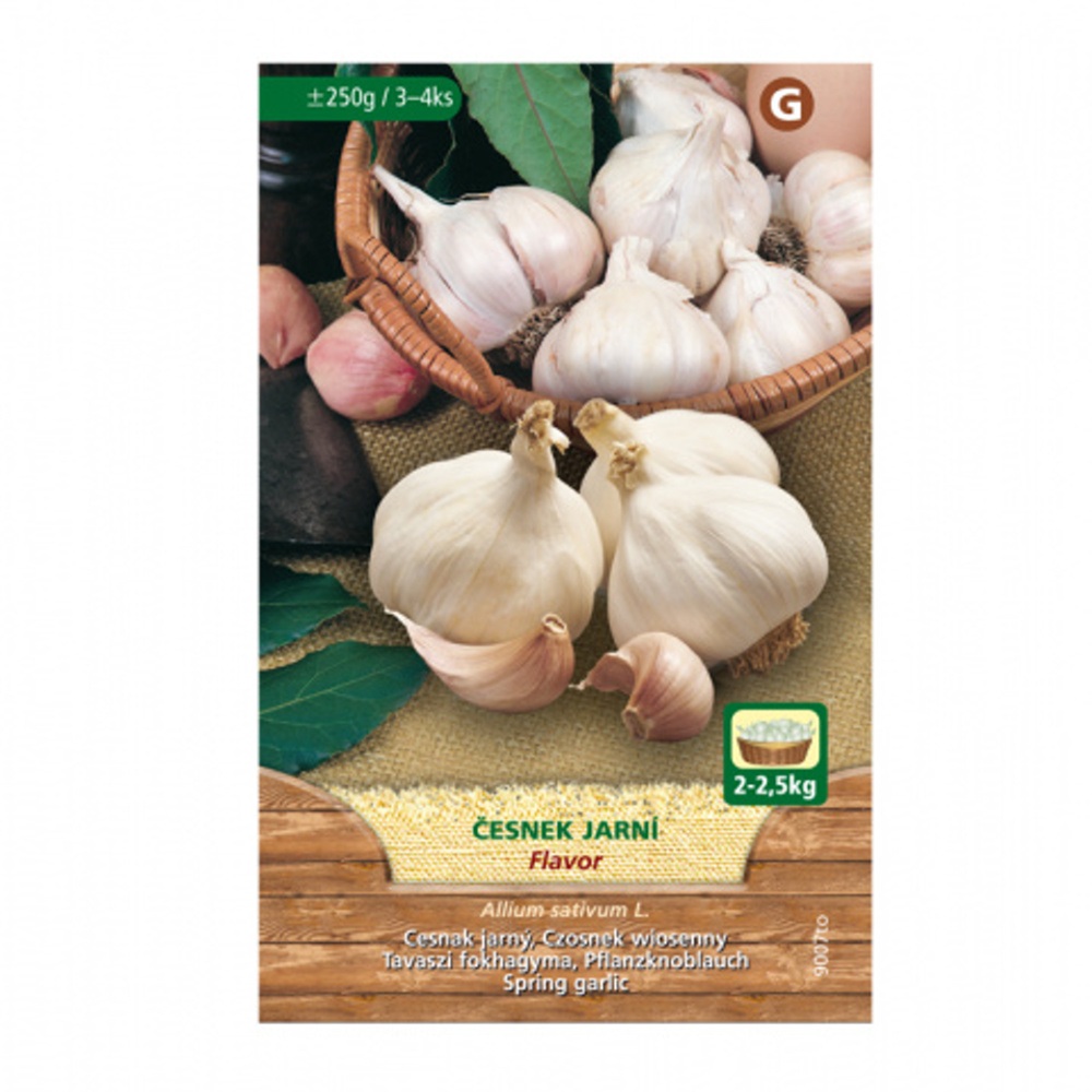 Sadba česneku a cibule - Česnek sadbový FLAVOR 250g, 3-4ks