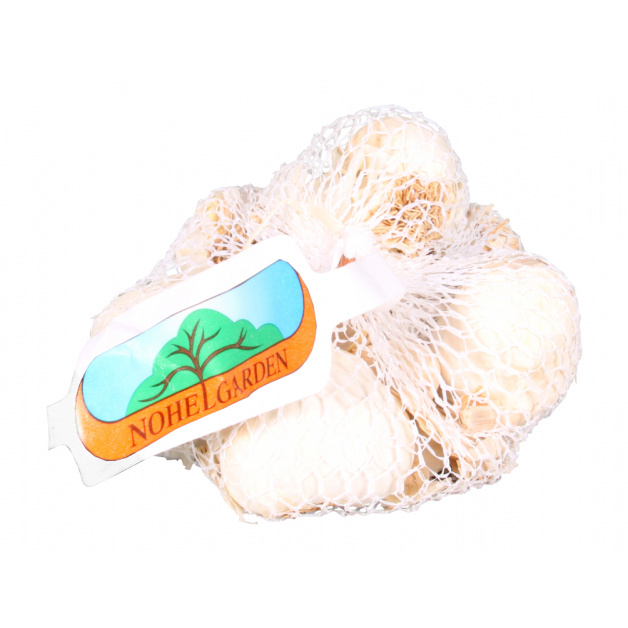 Sadba česneku a cibule - Česnek sadbový FLAVOR 6-7ks 500g