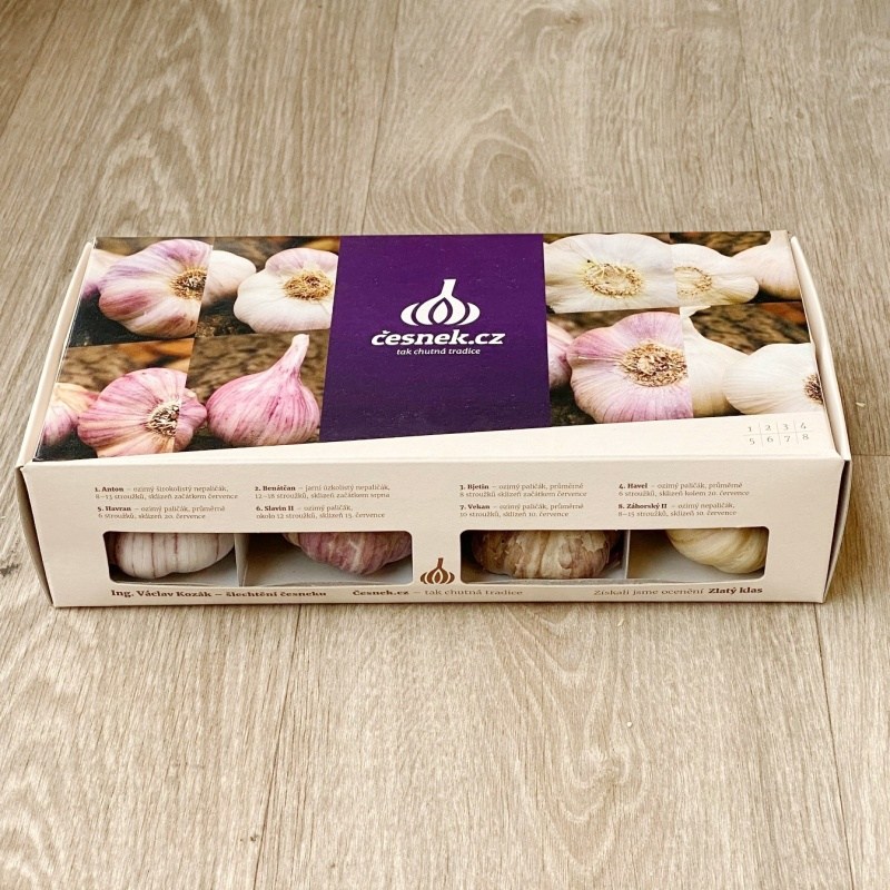 Sadba česneku a cibule - Česnek sadbový mix v dárkové sadě 8ks