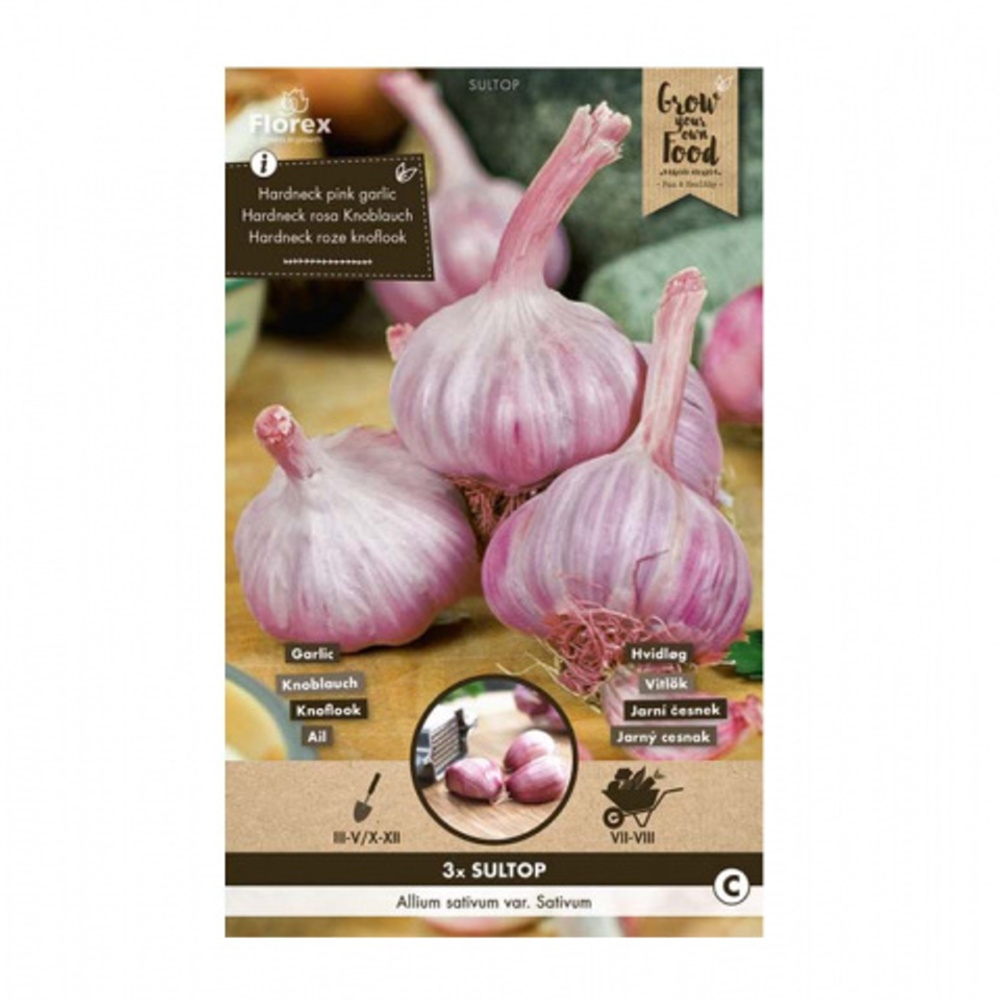 Sadba česneku a cibule - Česnek sadbový SULTOP 3ks