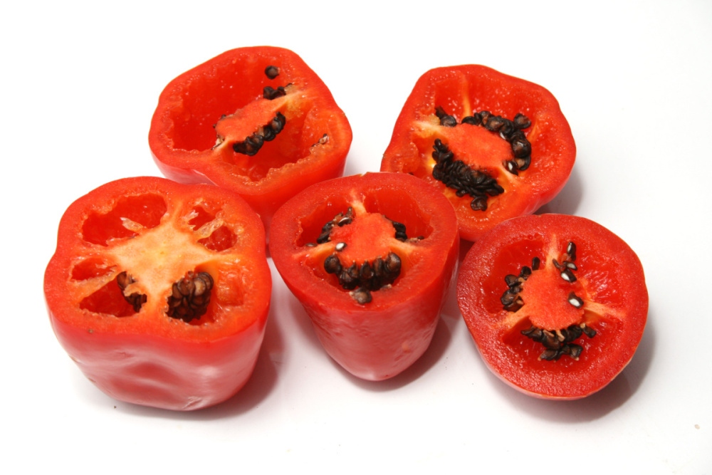 Chilli peruánské BIO květináč 12cm-1