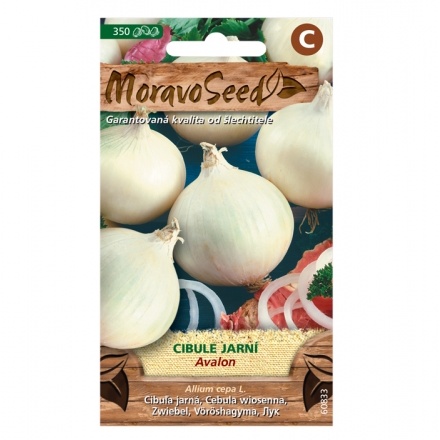 Osivo zeleniny - Cibule jarní bílá AVALON (MS)