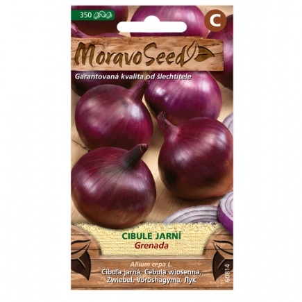 Osivo zeleniny - Cibule jarní červená GRENADA (MS)