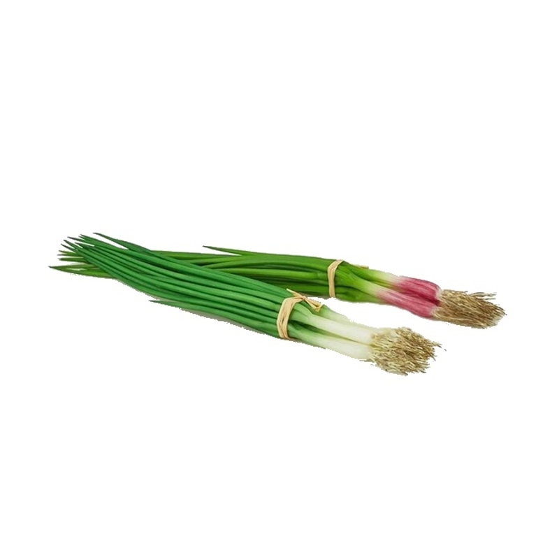 Umělé ovoce a zelenina - Cibule jarní svazek umělá mix 30cm