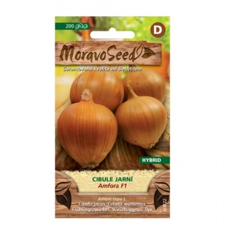 Osivo zeleniny - Cibule jarní žlutá AMFORA F1 (MS)