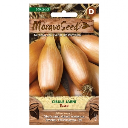 Osivo zeleniny - Cibule jarní žlutá TOSCA (MS)