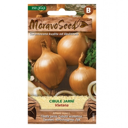 Osivo zeleniny - Cibule jarní žlutá VŠETANA (MS)